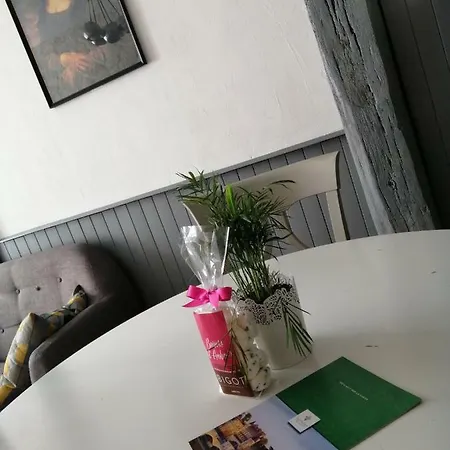 Le Sourire De Mona Lisa Appartement Amboise Buitenkant foto